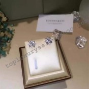 Tiffany Schlumberger Lynn Earrings Diamonds Intricate Design Women For Ladies US 19186423