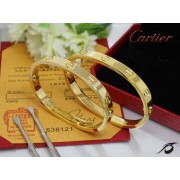 Cartier Couple Bracelet Yellow Gold B6041001 (New Version C Prevent Screws Fall Out)
