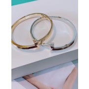 Tiffany T T1 Hinged Bangle Champagne Gold/White Gold