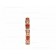 Small Serpenti Viper 18k Rose Gold Ring with Carnelian Elements and Pave Diamonds