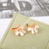 Van Cleef Arpels Frivole Small Earrings Rose Gold/Yellow Gold With Diamond