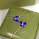 Van Cleef Arpels Two Butterfly Necklace/Earrings/Ring Yellow Gold with Diamonds and Lapis Lazuli
